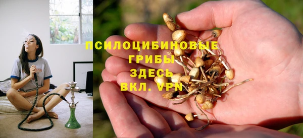 винт Алексеевка