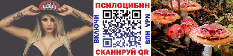 сколько стоит  Геленджик  Псилоцибиновые грибы мицелий 